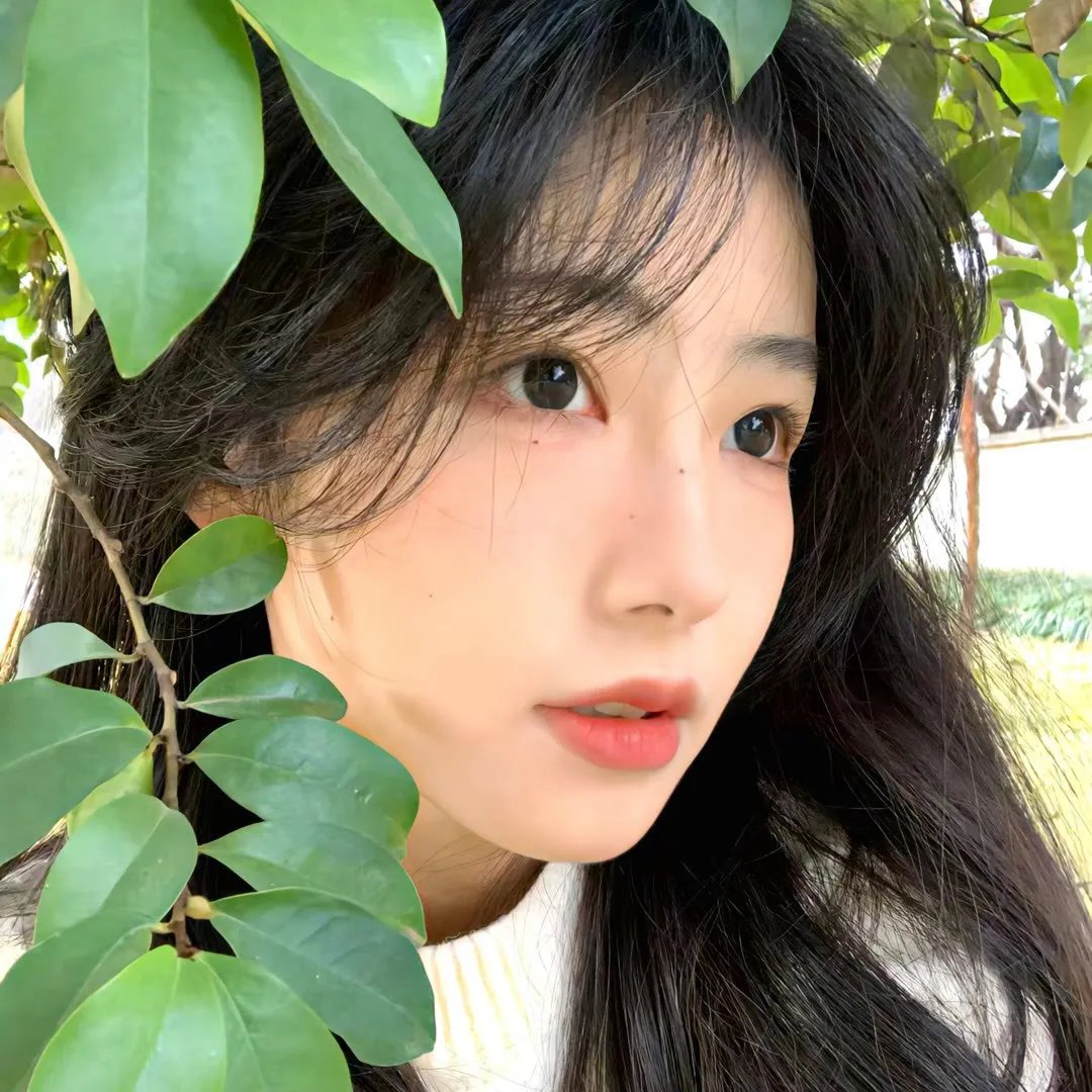 穿山甲Kulu的旅程